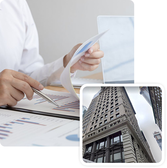 Tax Audits